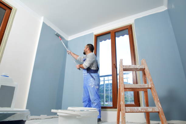 Best Drywall Removal and Disposal  in Alvin, TX