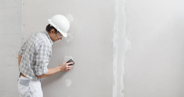 Professional Dry wall and painting in Alvin, TX